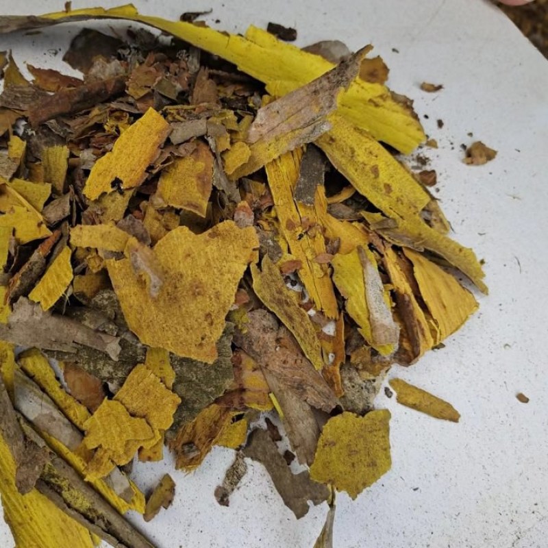 黄柏双面黄下料