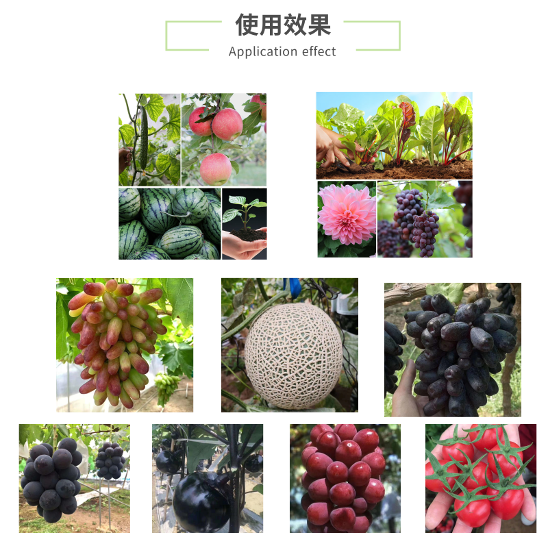【高钙】糖醇钙钙肥螯合钙农用补钙叶面肥大包装包邮