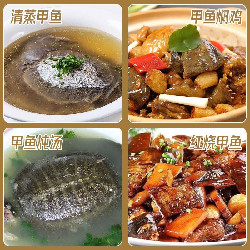 湖北精品甲鱼基地直供一手货源品质保证诚信经营