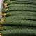 黄瓜山东密刺黄瓜青皮青肉品质保障对接商超批发市场