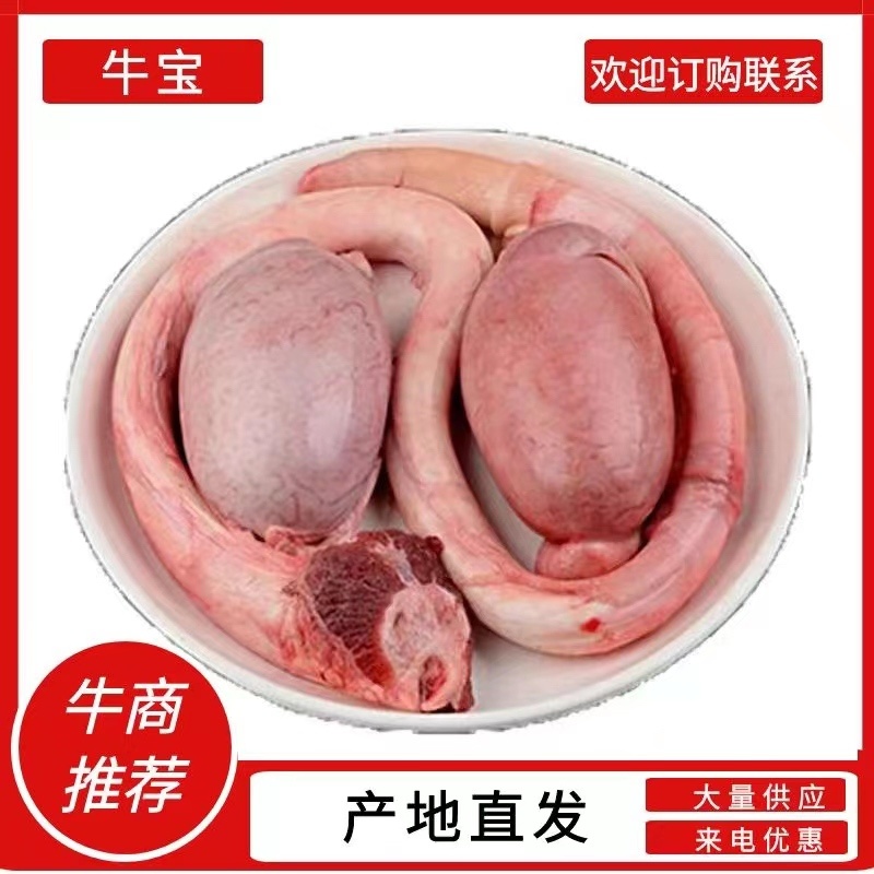 黄牛鞭高原特产新鲜牛三宝去油精修带鞭根欢迎订购