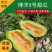 山东头茬博洋9羊角蜜星甜20各种甜瓜大量上市
