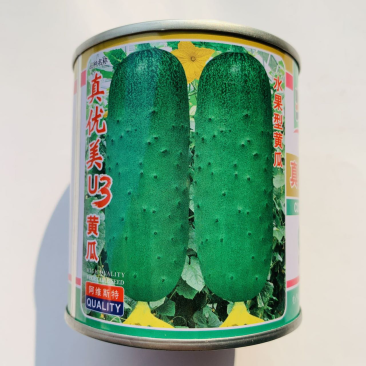 水果黄瓜种子旱黄瓜种子种子一代杂交品种基地专用品种