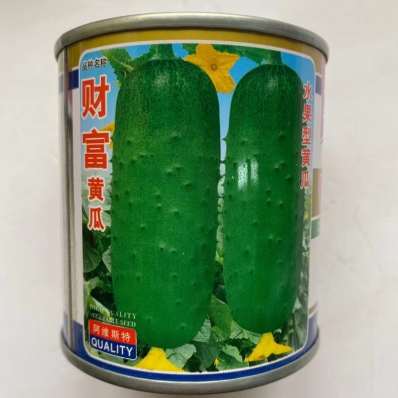 水果黄瓜种子旱黄瓜种子种子一代杂交品种基地专用品种