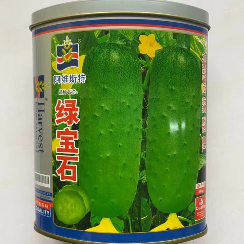 水果黄瓜种子旱黄瓜种子种子一代杂交品种基地专用品种