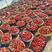 红颜草莓，基地直发，口感好，耐运输，价格便宜，欢迎采购