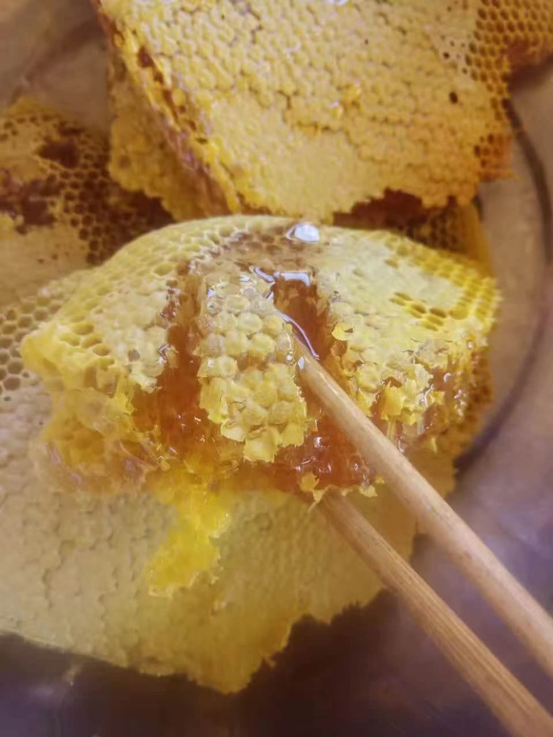 云南野生无添加剂土蜂蜜