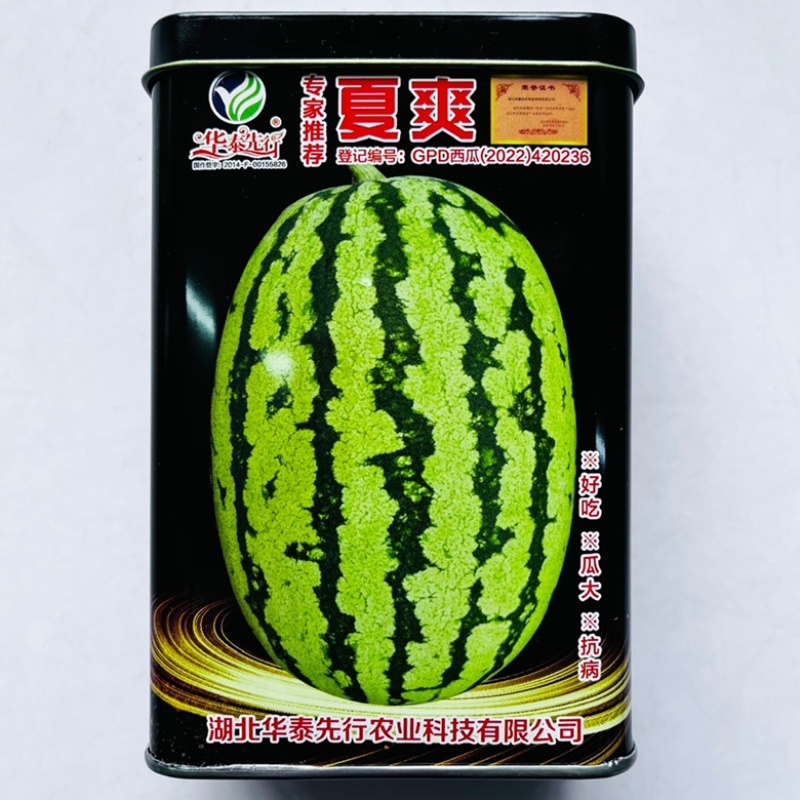 西瓜种子脆宝77早熟西瓜品种圆形红瓤品种种子