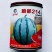西瓜种子脆宝77早熟西瓜品种圆形红瓤品种种子