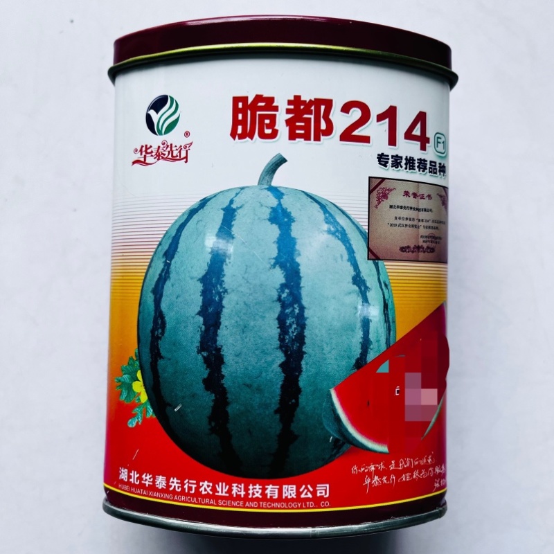 西瓜种子脆宝77早熟西瓜品种圆形红瓤品种种子