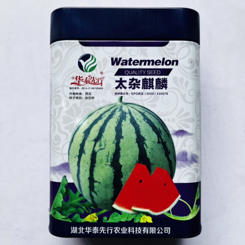 西瓜种子脆宝77早熟西瓜品种圆形红瓤品种种子