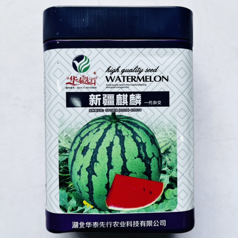 西瓜种子脆宝77早熟西瓜品种圆形红瓤品种种子