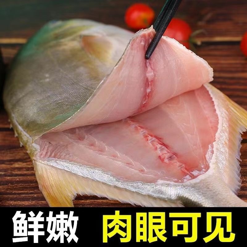 金鲳鱼400-500g电商一件代发