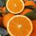 花果同枝伦晚春橙产地大量销售中，纯甜，爆汁橙，入口化渣。