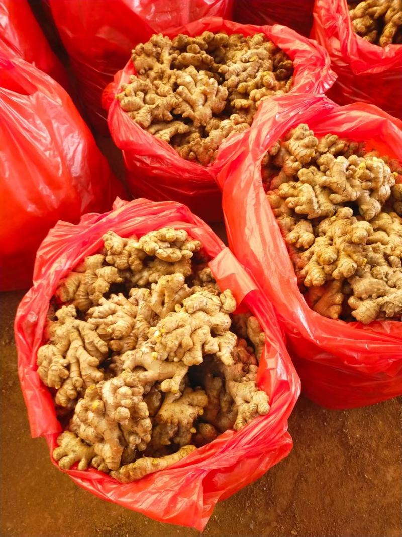 【实力】电商货市场货小黄姜(精品风干姜/水洗姜/沙土姜)