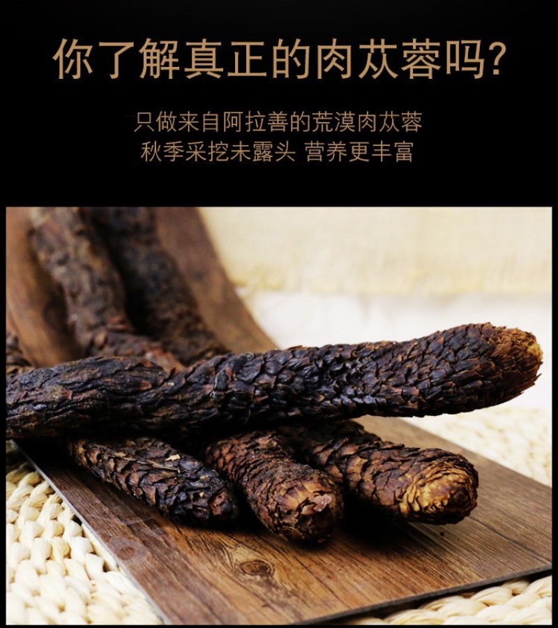 内蒙古阿拉善沙漠肉苁蓉大量上市货源充足