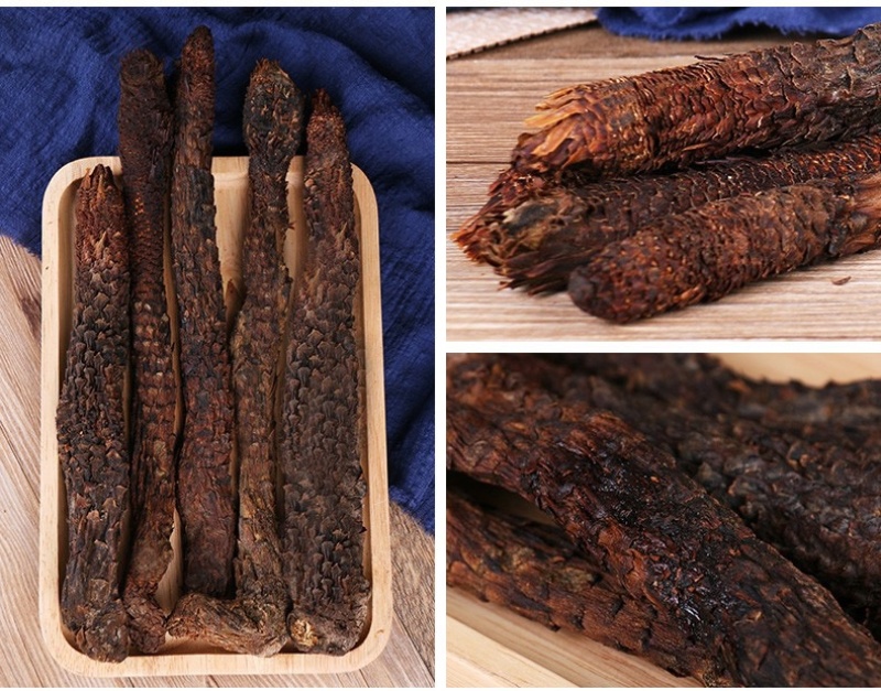 内蒙古阿拉善沙漠肉苁蓉大量上市货源充足
