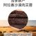 内蒙古阿拉善沙漠肉苁蓉大量上市货源充足