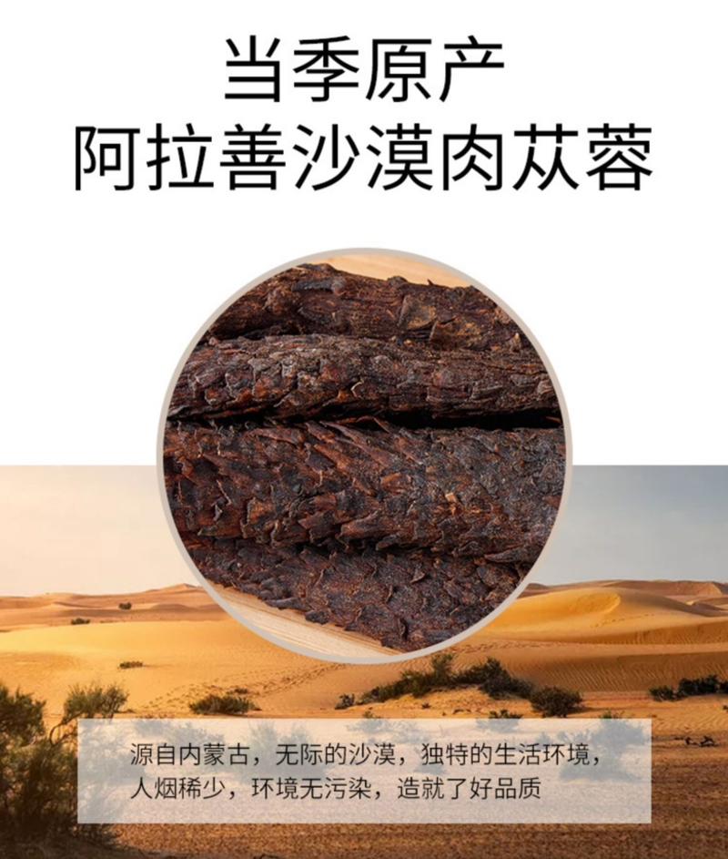 内蒙古阿拉善沙漠肉苁蓉大量上市货源充足