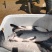 青鱼