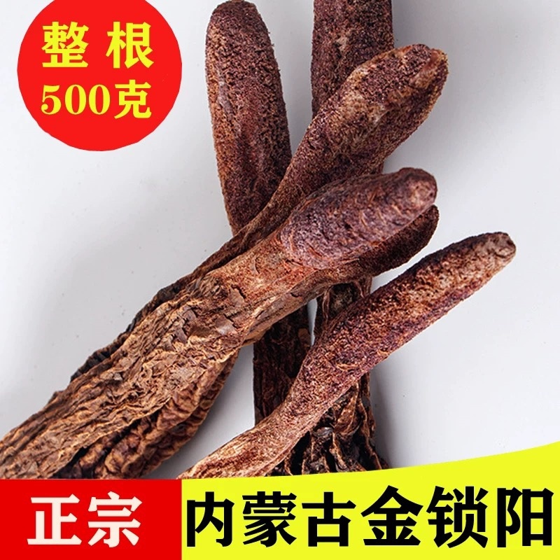 内蒙古阿拉善金锁阳大量上市货源充足