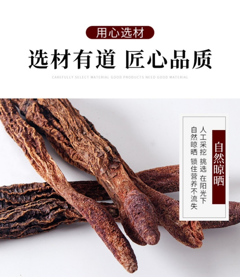 内蒙古阿拉善金锁阳大量上市货源充足