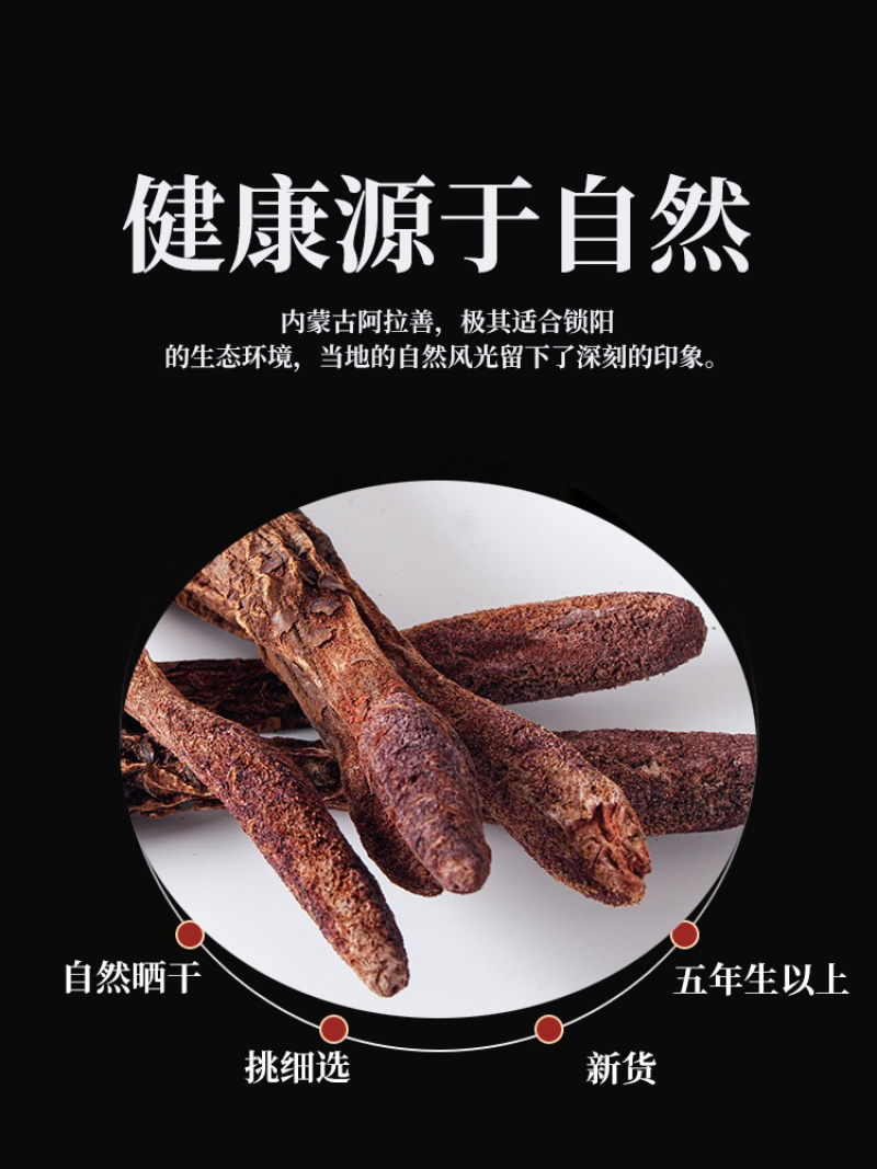 内蒙古阿拉善金锁阳大量上市货源充足