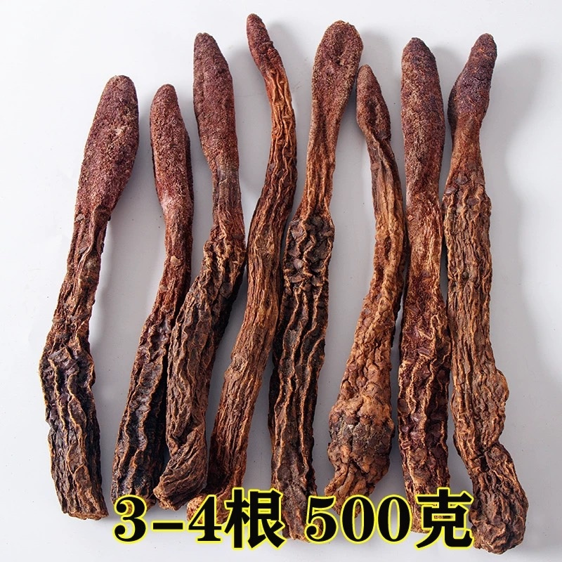 内蒙古阿拉善金锁阳大量上市货源充足