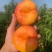 精选紫金油蟠桃一件代发糖度15个有需要的老板联系