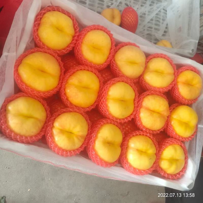 蒙阴县黄金蟠桃
