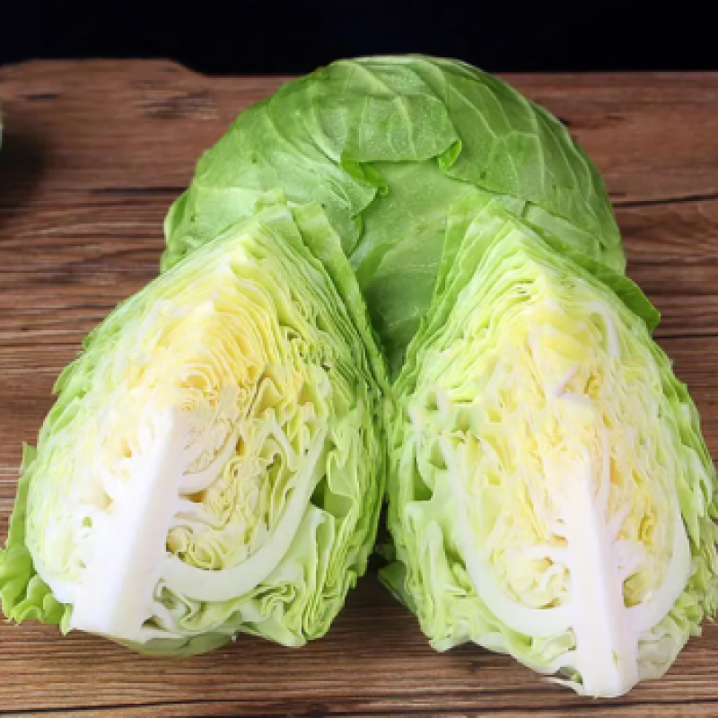 【优选】兰陵甘蓝圆包菜精选好货直发量大从优价格可谈