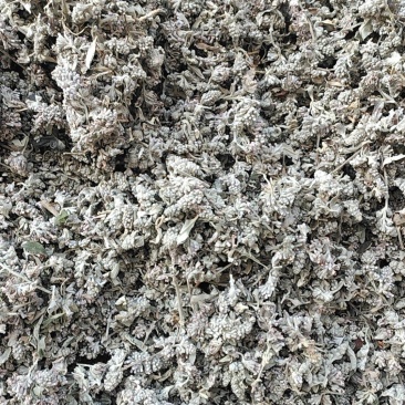 密蒙花全干货货包质量中早期全干货可以发货物流快递
