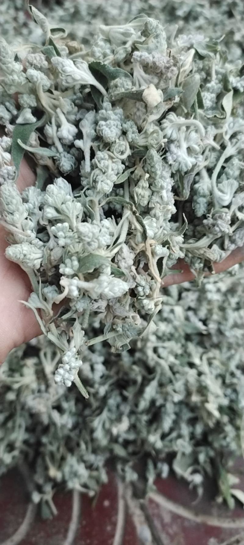密蒙花全干货货包质量中早期全干货可以发货物流快递