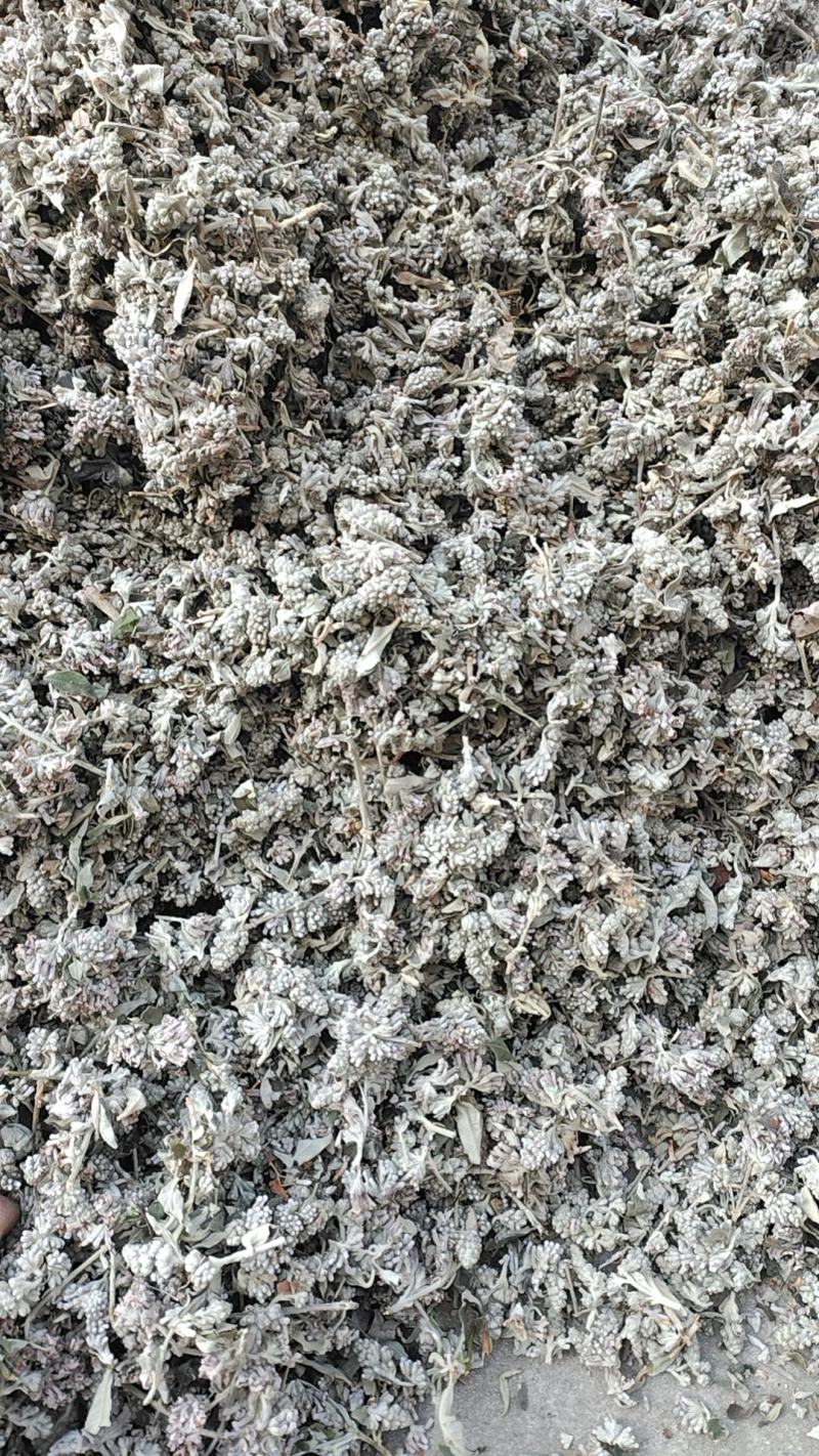 密蒙花全干货货包质量中早期全干货可以发货物流快递