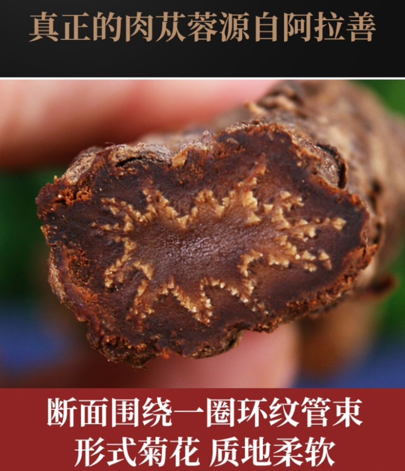 内蒙古阿拉善油苁蓉老根片大量上市货源充足
