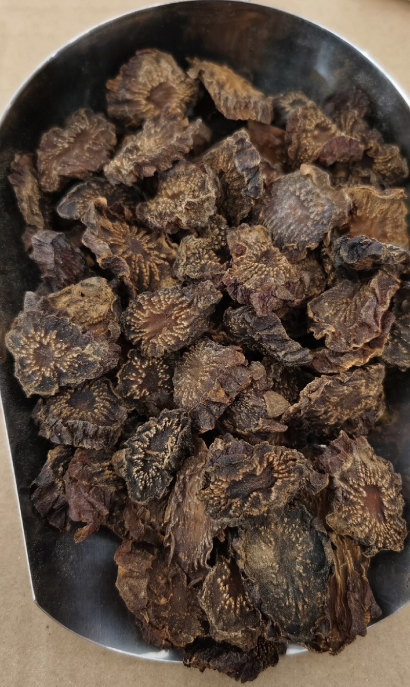 内蒙古阿拉善油苁蓉老根片大量上市货源充足