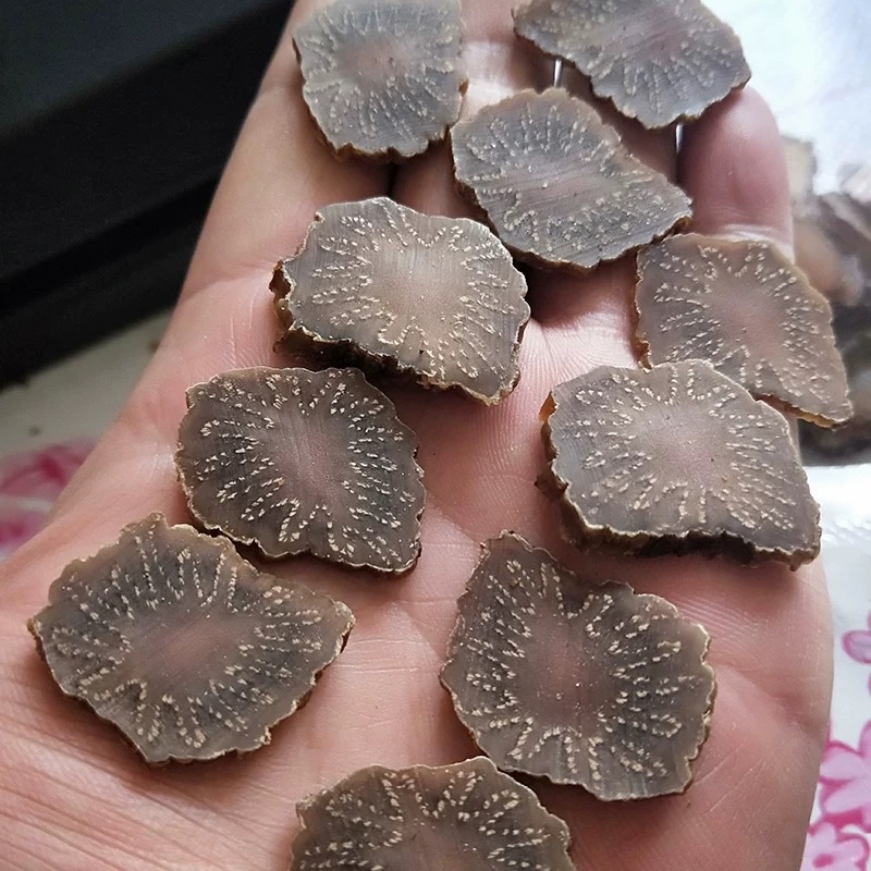 内蒙古阿拉善油苁蓉老根片大量上市货源充足