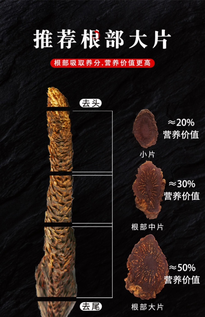 内蒙古阿拉善油苁蓉老根片大量上市货源充足