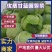 圆包菜甘蓝饺子厂，加工厂包菜，大铁头，基地种植