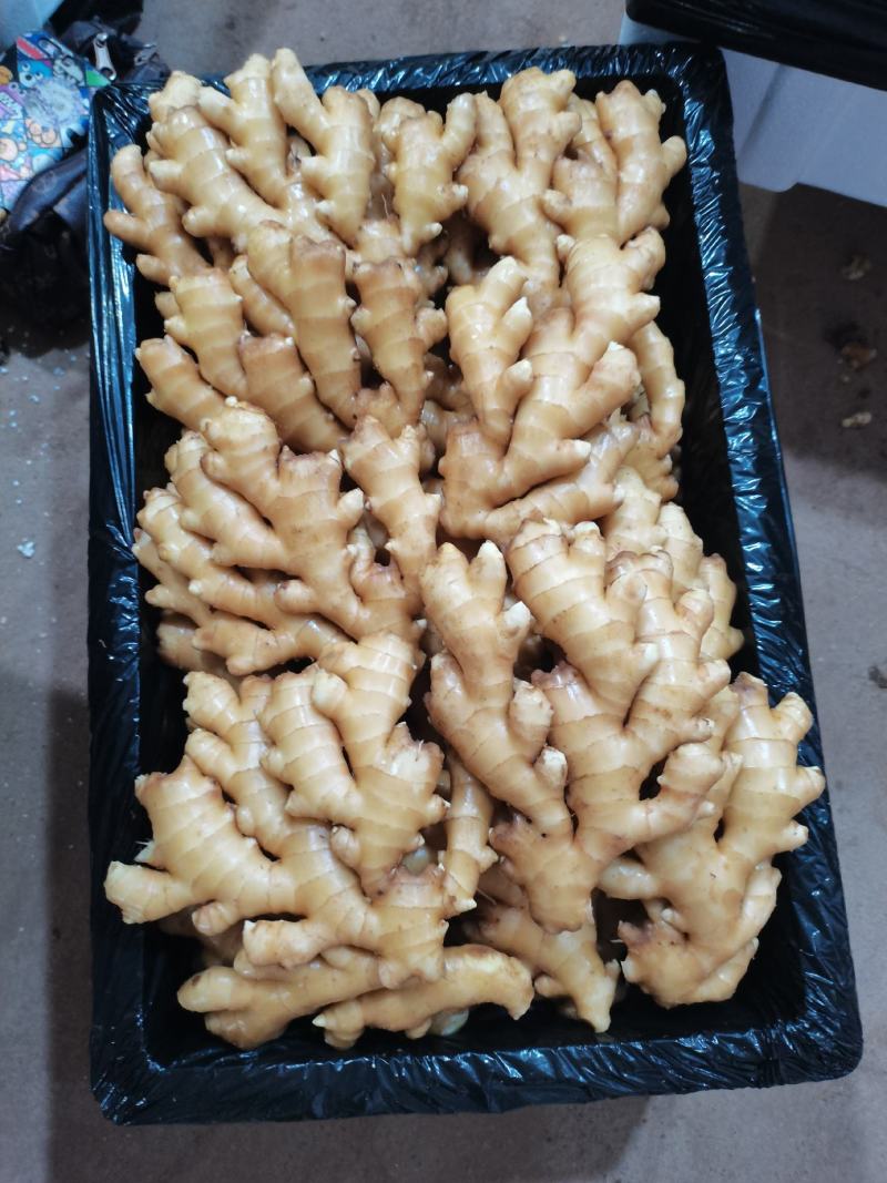 小黄姜沙土姜，水洗姜，风干姜，一手货源坏烂包赔，全国发货