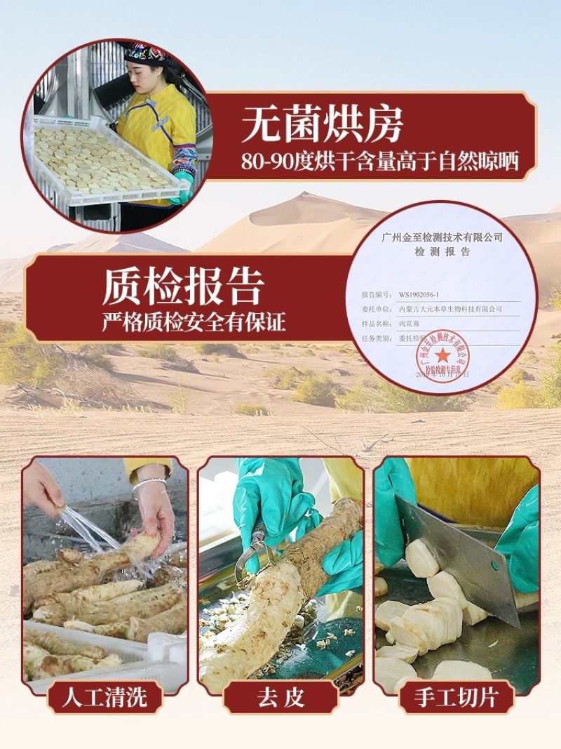 内蒙古阿拉善沙漠肉苁蓉鲜干片大量上市货源充足