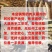 内蒙古阿拉善沙漠肉苁蓉鲜干片大量上市货源充足