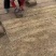 百慕大混播果岭草，基地直发，货源充足，欢迎咨询下单！