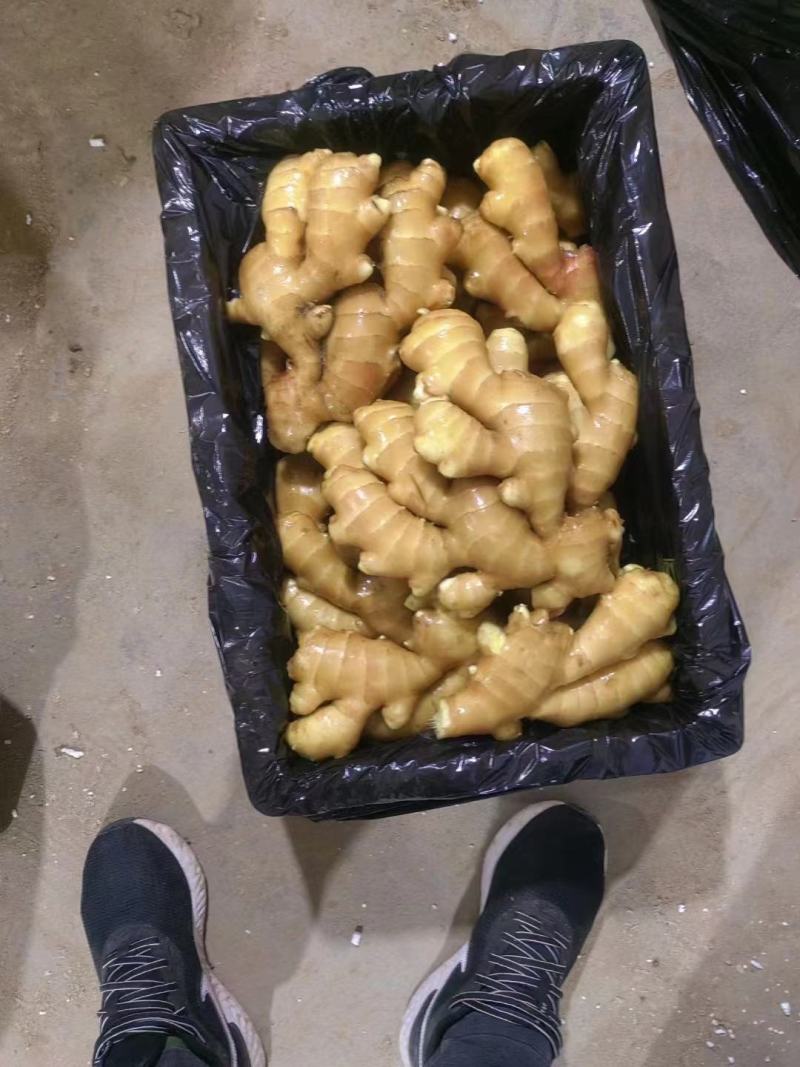 江苏，沙土姜，水洗姜，风干姜，一手货源坏烂包赔，全国发货