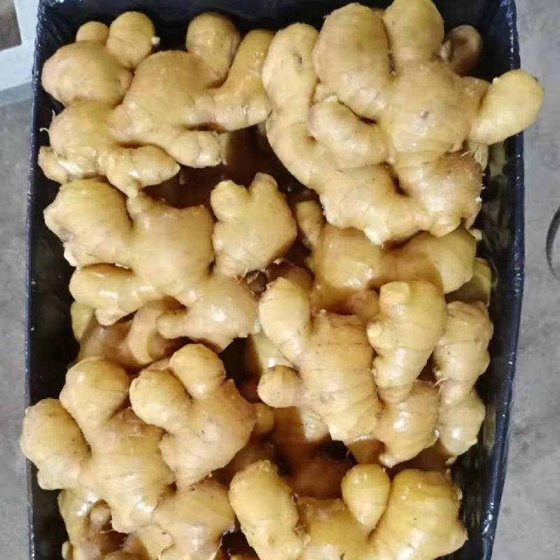 江苏，沙土姜，水洗姜，风干姜，一手货源坏烂包赔，全国发货