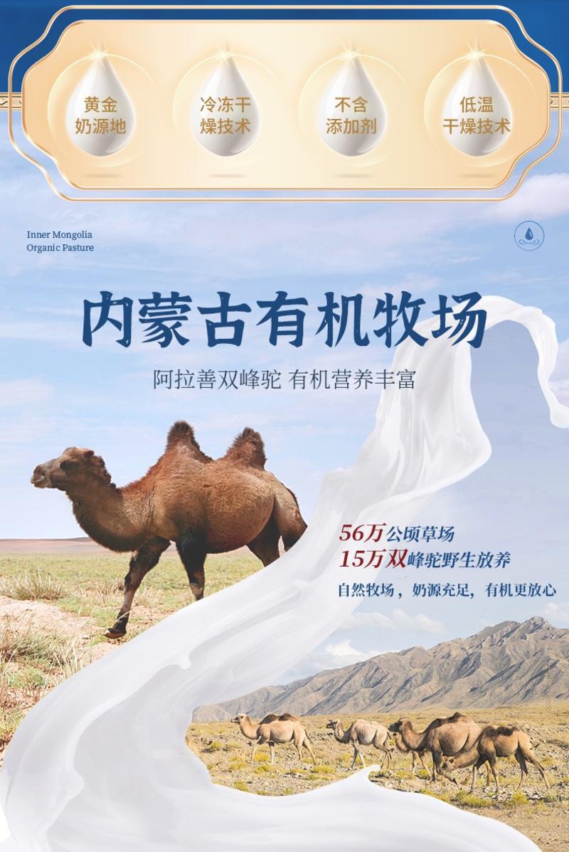 阿拉善沙漠之神全脂型纯驼乳粉380g大量上市。