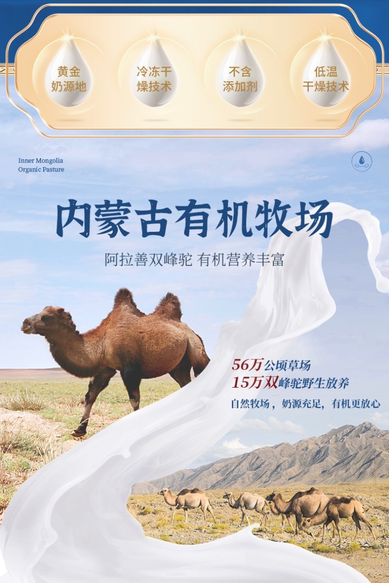 阿拉善沙漠之神全脂型纯驼乳粉380g大量上市。