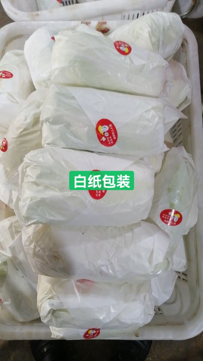 娃娃菜小娃娃菜大娃娃菜各种精品包装常年供应市场