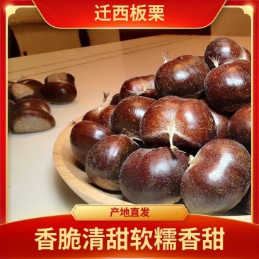 【迁西板栗】遵化板栗大量有货正宗老树栗子3113