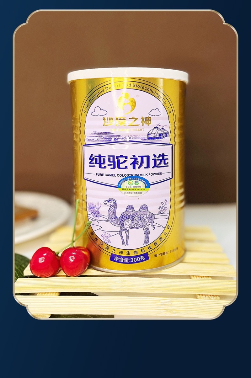 内蒙古阿拉善沙漠之神纯驼初选大量上市货源充足